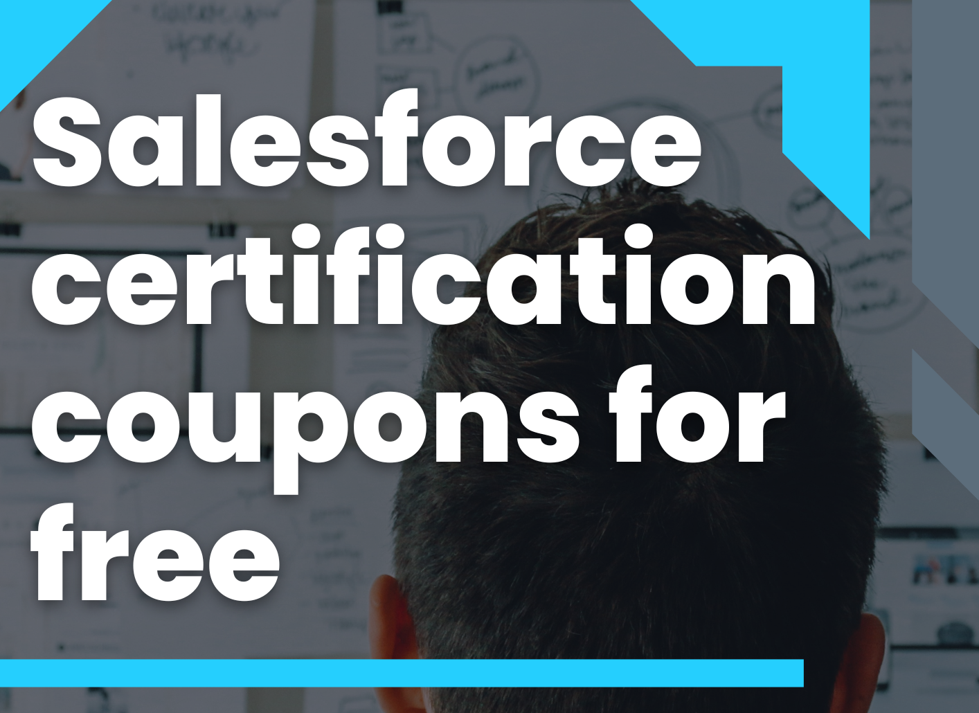 Salesforce Certification Voucher/ Coupons 2023 for free Taas Focus